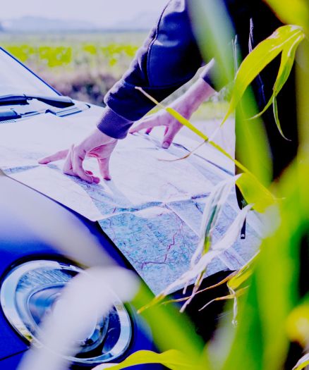 Een persoon kijkt naar een papieren landkaart op de motorkap van een auto, wijst naar een locatie en planten bedekken de voorgrond gedeeltelijk. Hij plant een route om nieuwe webshops of online diensten te ontdekken.