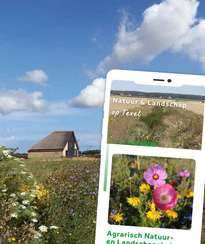 Een landschapstafereel met een huis en wilde bloemen onder een blauwe lucht, met daarboven een smartphonescherm waarop webshops met een natuurthema staan.